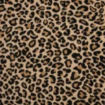 Contessa Wild Carpet