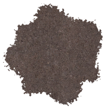 Oxford Brown